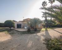 Sale - Single family house - Elche pedanias - Alzabares