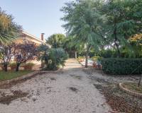 Sale - Single family house - Elche pedanias - Alzabares
