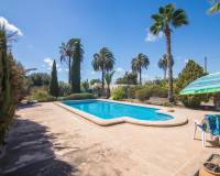 Sale - Single family house - Elche pedanias - Alzabares