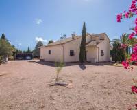 Sale - Single family house - Elche pedanias - Alzabares