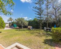 Sale - Single family house - Elche pedanias - Alzabares