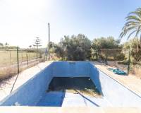 Sale - Single family house - Elche pedanias - Alzabares