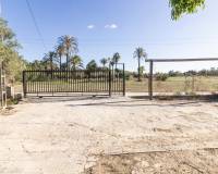Sale - Single family house - Elche pedanias - Alzabares