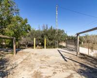 Sale - Single family house - Elche pedanias - Alzabares
