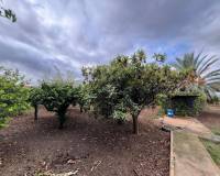 Sale - Single family house - Elche pedanias - Jubalcoi-Saladas