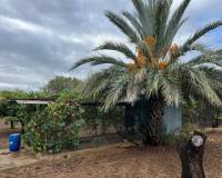 Sale - Single family house - Elche pedanias - Jubalcoi-Saladas