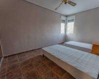 Sale - Single family house - Elche pedanias - Llano de san jose