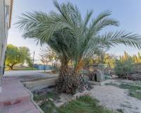 Sale - Single family house - Elche pedanias - Llano de san jose