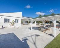 Sale - Single family house - Elche pedanias - Peña de Las Águilas