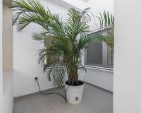 Sale - Single family house - Elche pedanias - Peña de Las Águilas