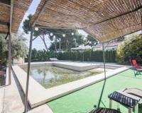 Sale - Single family house - Elche pedanias - PEÑA LAS AGUILAS