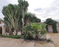 Sale - Single family house - Elche pedanias - PEÑA LAS AGUILAS