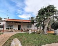 Sale - Single family house - Elche pedanias - PEÑA LAS AGUILAS