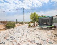 Sale - Single family house - Elche pedanias - Poligono carrus