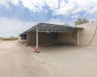 Sale - Single family house - Elche pedanias - Poligono carrus