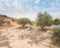 Sale - Single family house - Elche pedanias - Poligono carrus