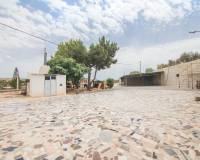 Sale - Single family house - Elche pedanias - Poligono carrus