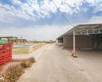 Sale - Single family house - Elche pedanias - Poligono carrus