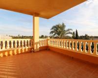 Sale - Single family house - Elche pedanias - Pussol