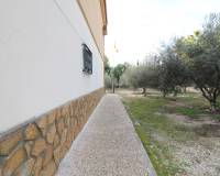 Sale - Single family house - Elche pedanias - Pussol