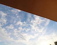 Sale - Single family house - Elche pedanias - Pussol