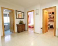 Sale - Single family house - Elche pedanias - Pussol