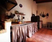 Sale - Single family house - Elche pedanias - Pussol