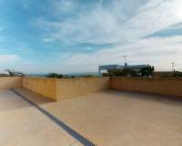 Sale - Single family house - Elche pedanias - Valverde