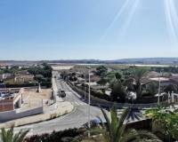 Sale - Single family house - Elche pedanias - Valverde