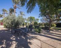 Sale - Single family house - Elche - Torreta - Portalada