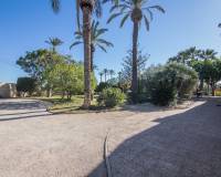 Sale - Single family house - Elche - Torreta - Portalada