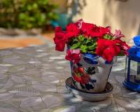 Sale - Single family house - Gran alacant - El Faro