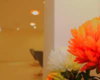 Sale - Single family house - Gran alacant - Monte y Mar bajo