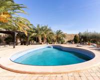 Sale - Single family house - Hondon de las Nieves - Hondón de las Nieves
