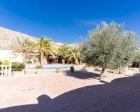 Sale - Single family house - Hondon de las Nieves - Hondón de las Nieves