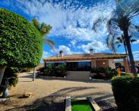 Sale - Single family house - Jacarilla