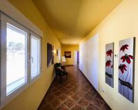 Sale - Single family house - Jacarilla