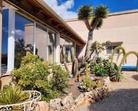 Sale - Single family house - Jacarilla