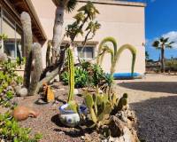 Sale - Single family house - Jacarilla