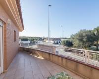 Sale - Single family house - La marina - Centro