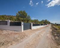 Sale - Single family house - La Romana - ALCANÁ