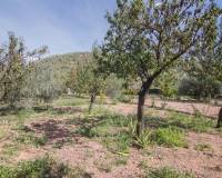 Sale - Single family house - Monovar - Monover - LA ROMANETA