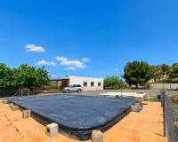 Sale - Single family house - Novelda - HORNA ALTA