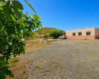Sale - Single family house - Novelda - HORNA ALTA