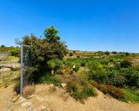 Sale - Single family house - Novelda - HORNA ALTA