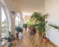 Sale - Single family house - Peña las aguilas - Peña de las aguilas