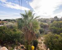 Sale - Single family house - Peña las aguilas - Peña de las aguilas