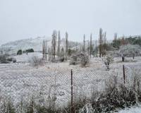 Sale - Single family house - Riopar - Castilla la mancha