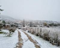 Sale - Single family house - Riopar - Castilla la mancha