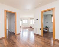Sale - Single family house - Torrellano - Centro